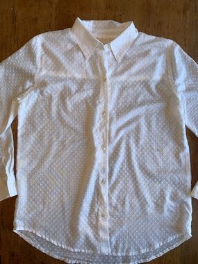 Basic Threads Santa Monica White Swiss Dot Button-Down Blouse - Women